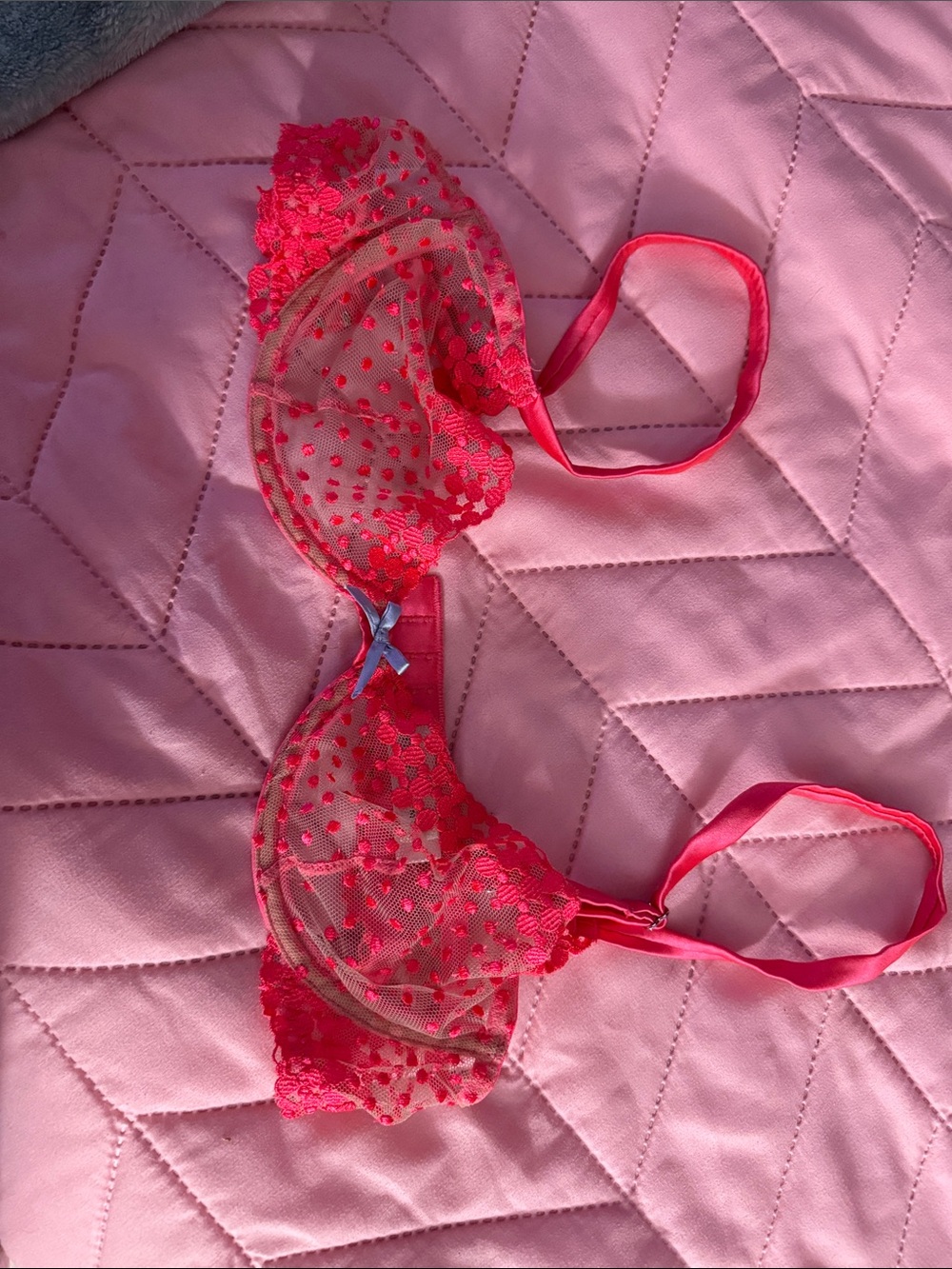 Fleur du Mal Hot Pink Sheer Embroidered Underwire Bra with Blue Bow